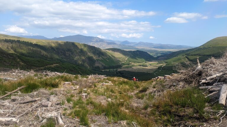 POST 19 — Nutrition and Hydration: Fuel That Actually Works