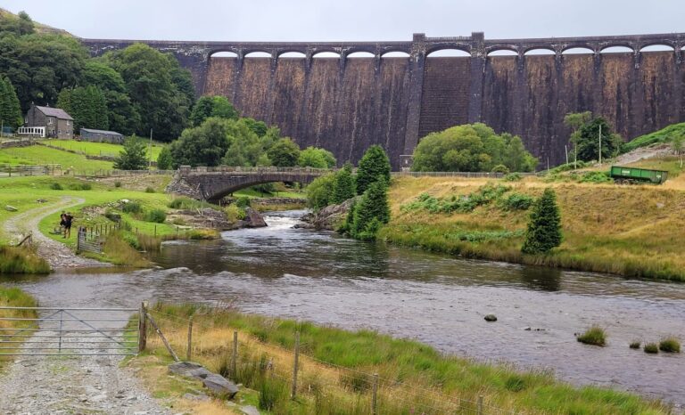 POST 22 — Wheels, Spokes, and Bearings: Keeping Your Bike Rolling Smooth