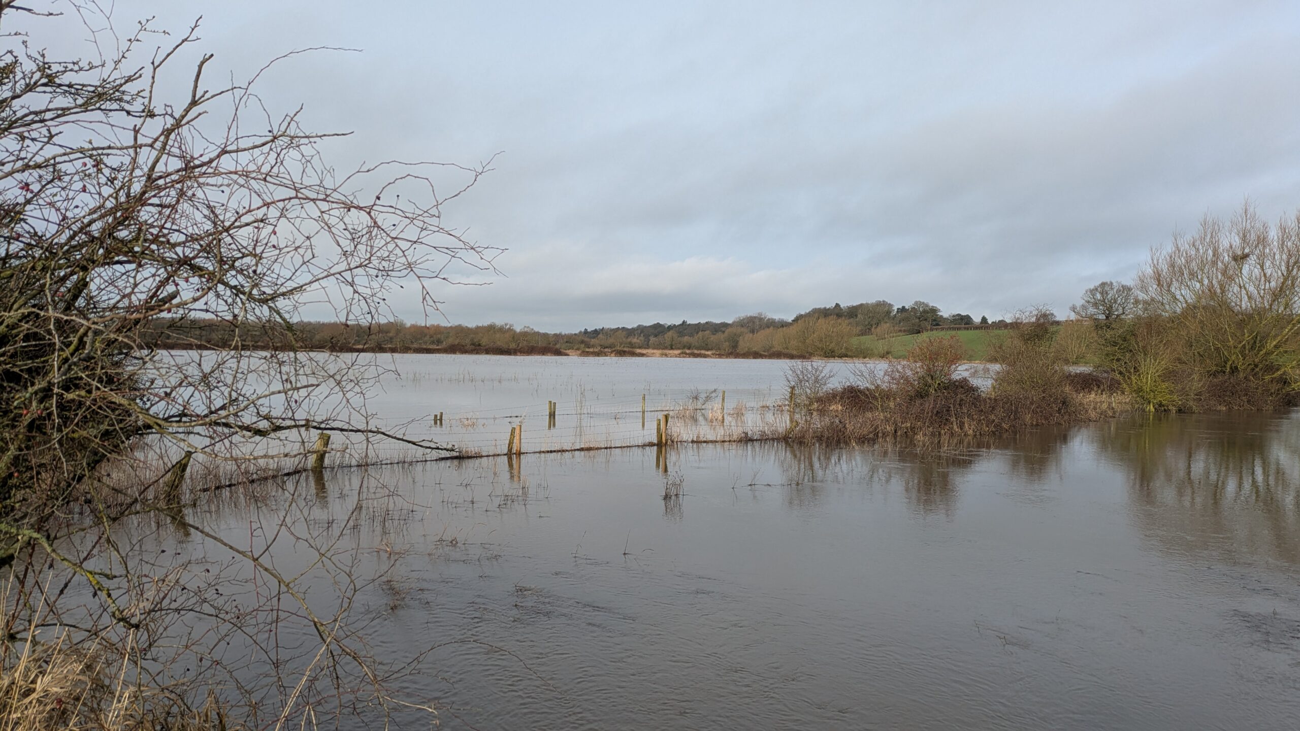 flooded fields