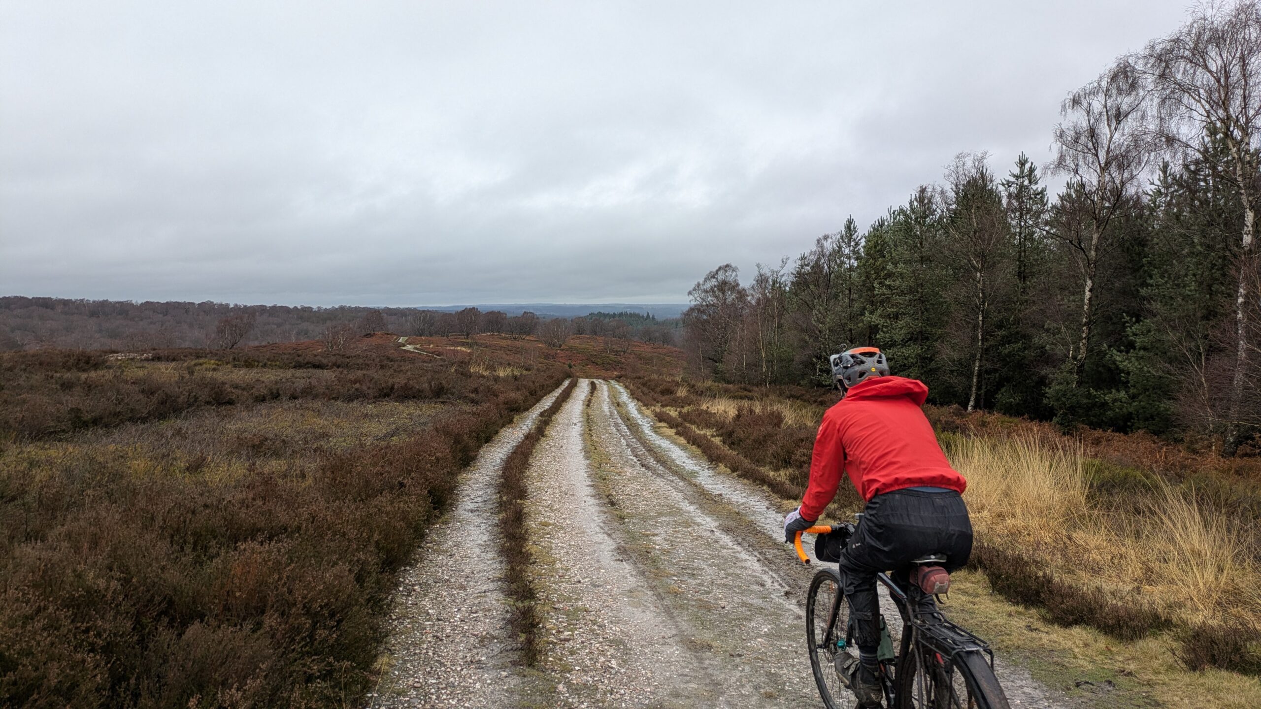 Axle-Deep on Cannock Chase